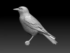 Starling 3D Print Model