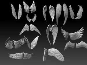 Wings 3D Print Model