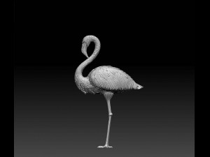 Flamingo Modèles 3D en vedette