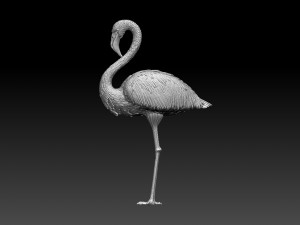 Flamingo Modèles 3D en vedette