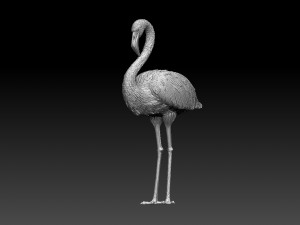 Flamingo Modèles 3D en vedette