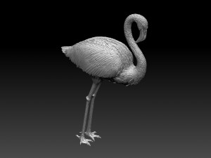 Flamingo Modèles 3D en vedette