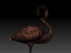 Flamingo Modèles 3D en vedette