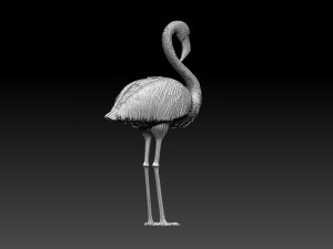 Flamingo Modèles 3D en vedette