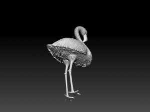Flamingo Modèles 3D en vedette