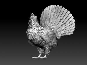 Capercaillie Model do druku 3D