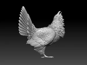 Gallo cedrone Modello di stampa 3D