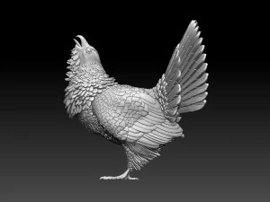 Gallo cedrone Modello di stampa 3D