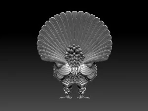 Gallo cedrone Modello di stampa 3D