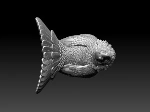 Gallo cedrone Modello di stampa 3D