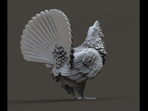 Capercaillie Model do druku 3D