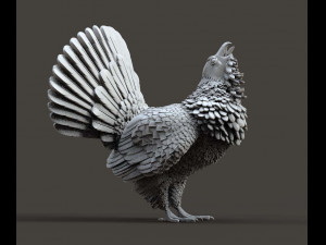 Capercaillie Model do druku 3D