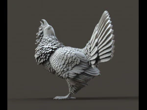 Gallo cedrone Modello di stampa 3D