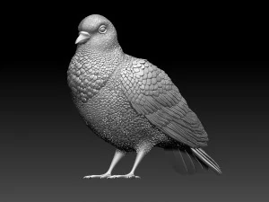 鳩 3Dプリントモデル