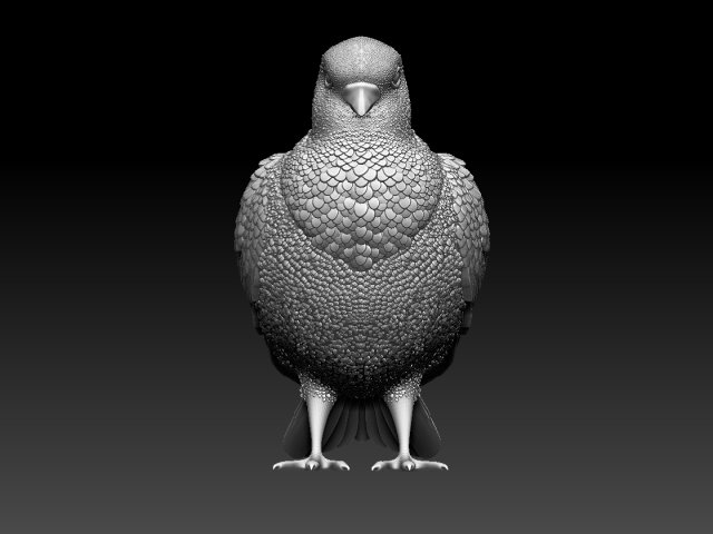 anti pigeon 3D Models to Print - yeggi