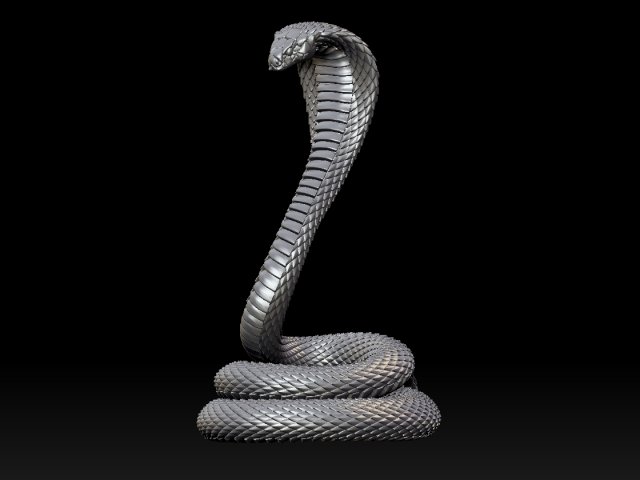 Cobra snake Modelo de impresión 3D .c4d .max .obj .3ds .fbx .stl .blend 
