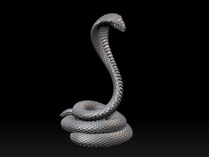 Cobra snake Modelo de impresión 3D