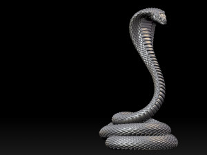 Cobra snake Modelo de impresión 3D