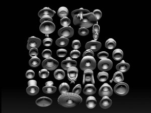 Hats and caps 3D Print Model