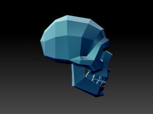 Scull Modèles 3D en vedette