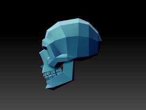 Scull Modèles 3D en vedette