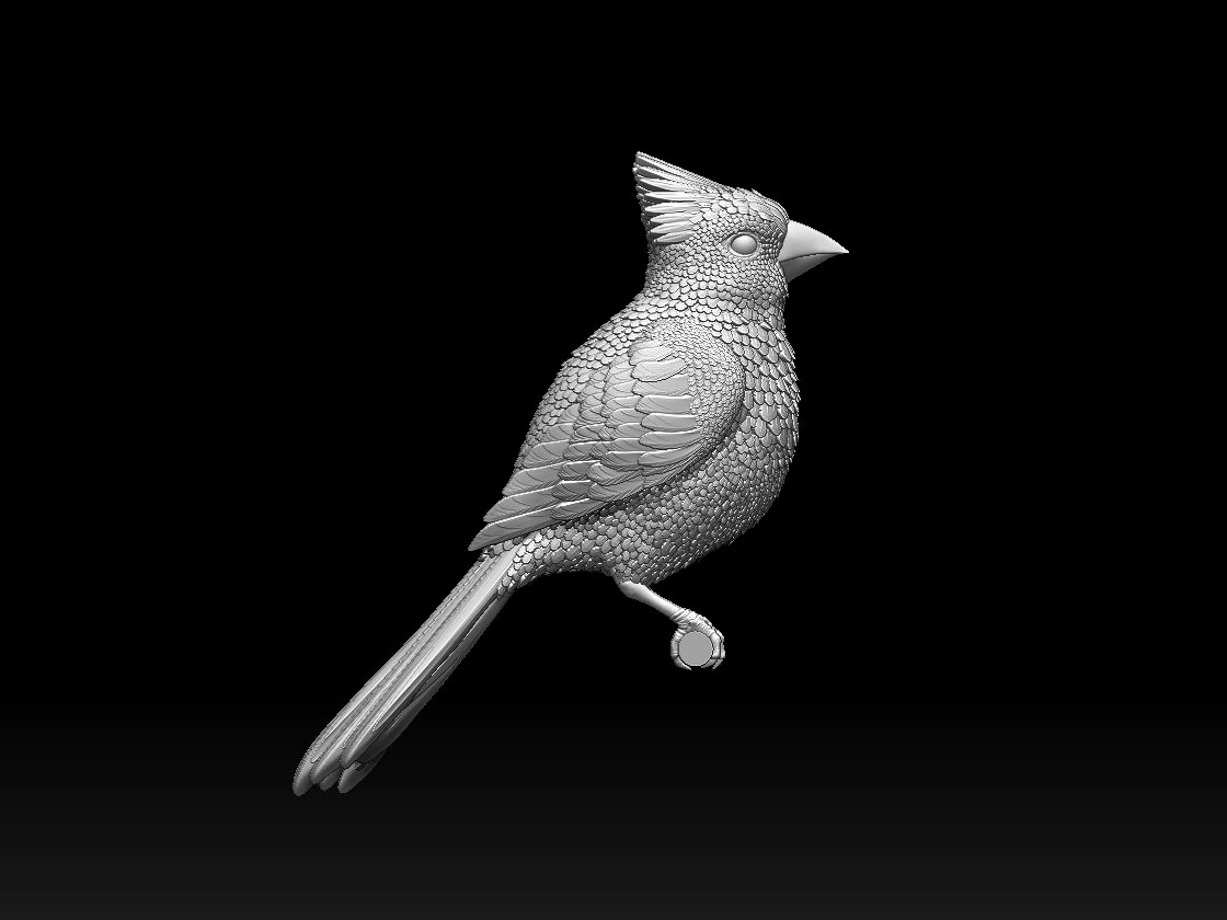 Bird red cardinal 3D Print Model .c4d .max .obj .3ds .fbx .stl .blend