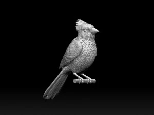 Bird red cardinal 3D Print Model