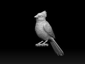 Bird red cardinal 3D Принт Модель