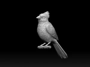 Bird red cardinal 3D Print Model