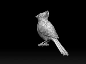 Bird red cardinal 3D Print Model