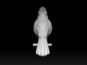 Bird red cardinal 3D Print Model