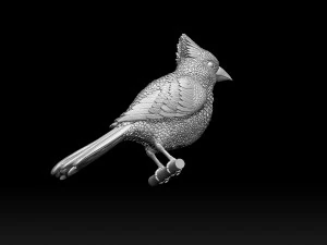 Bird red cardinal 3D Print Model