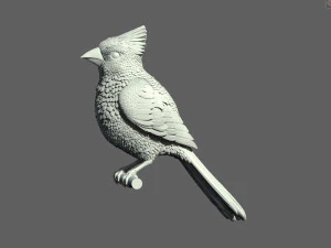 Bird red cardinal 3D Print Model