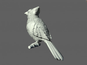 Bird red cardinal 3D Принт Модель