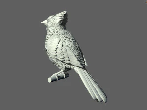 Bird red cardinal 3D Print Model