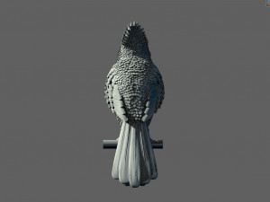 Bird red cardinal 3D Принт Модель