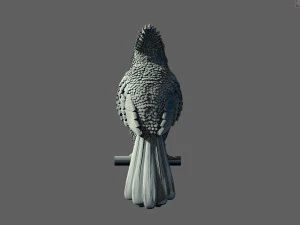 Bird red cardinal 3D Print Model