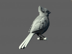 Bird red cardinal 3D Принт Модель