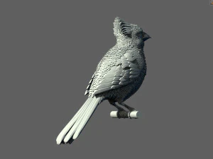 Bird red cardinal 3D Print Model
