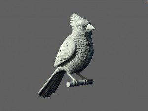 Bird red cardinal 3D Принт Модель