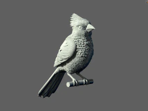 Bird red cardinal 3D Print Model