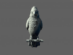Bird red cardinal 3D Принт Модель