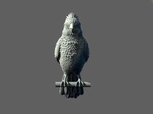 Bird red cardinal 3D Print Model