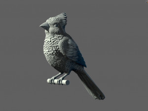 Bird red cardinal 3D Принт Модель
