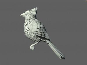 Bird red cardinal 3D Принт Модель