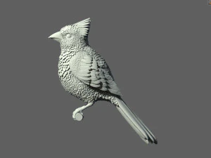 Bird red cardinal 3D Print Model