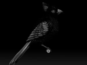 Bird red cardinal 3D Print Model