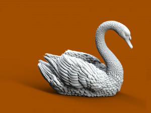 SWAN 3D Print Model