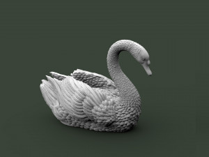 SWAN 3D Print Model