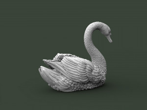 SWAN 3D Print Model